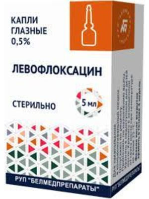 Kapsula