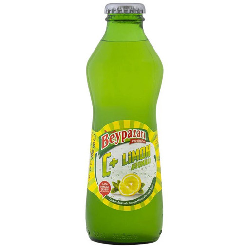 Beypazarı Meyveli Limon 200 Ml  (8691381000547)
